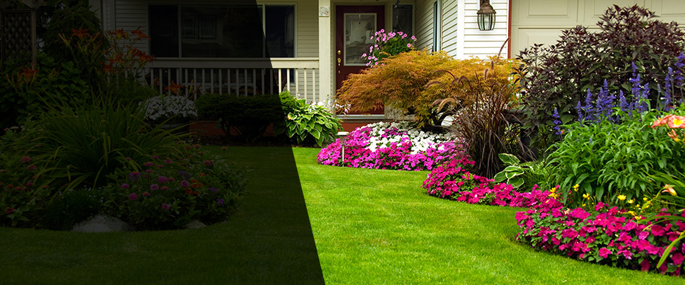 Kenly Landscapers