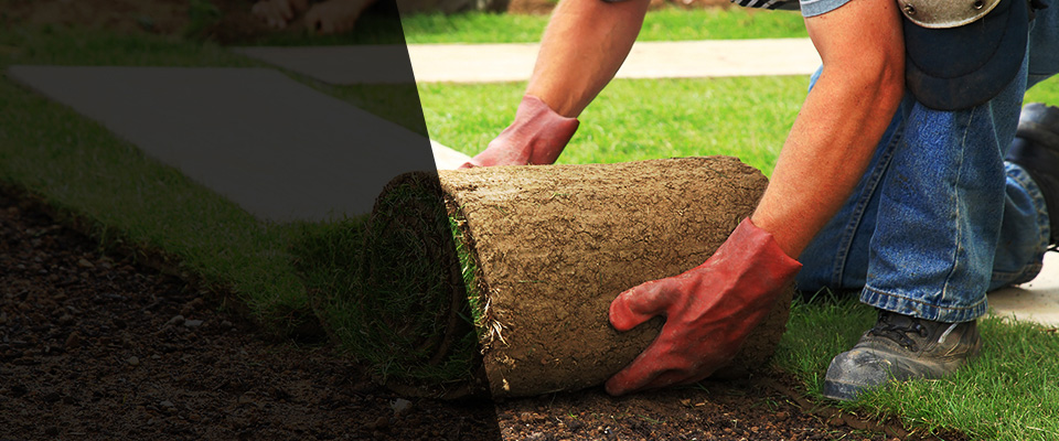 Kenly Landscapers